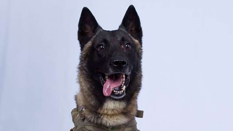 Ο σκύλος που πήρε μέρος στην επιχείρηση κατά του Μπαγκντάντι