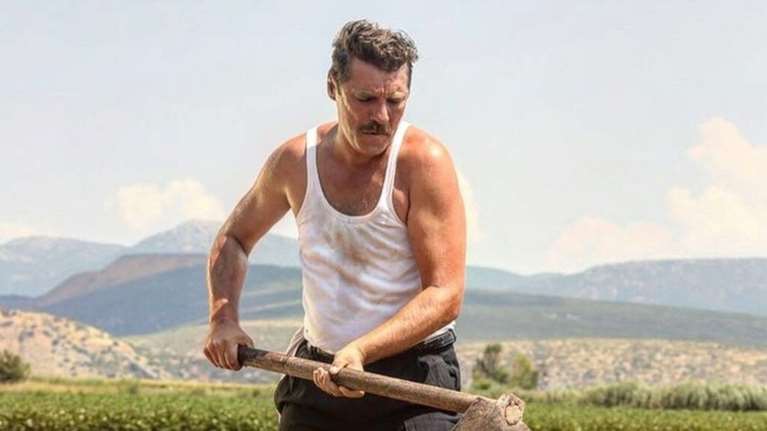 Αγριες Μέλισσες:Ο σκληρός Κυπραίος δεν είναι και τόσο σκληρός στο σπίτι του