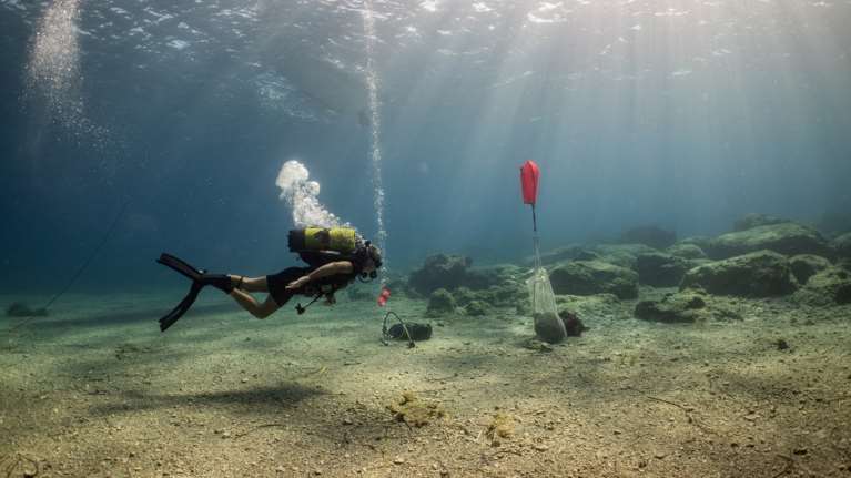 Εντυπωσιακά αρχαιολογικά ευρήματα από το βυθό της Κάσου