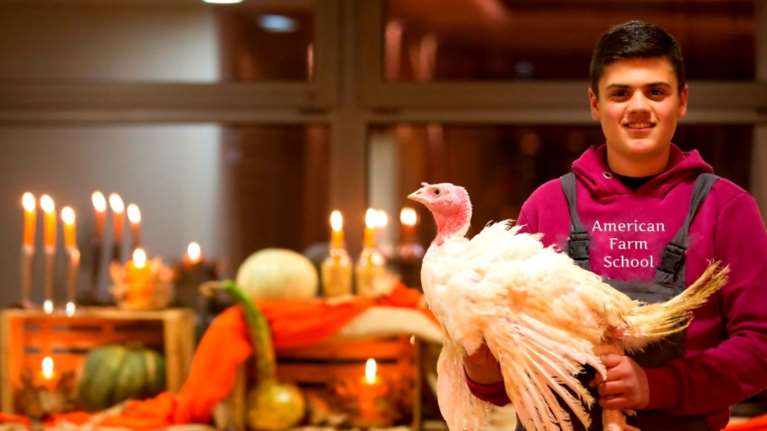 Στην κορυφή των προτιμήσεων η γαλοπούλα της Αμερικανικής Γεωργικής Σχολής