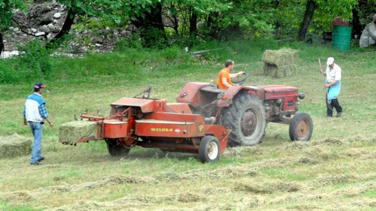Αγρίνιο: Σπείρα άρπαζε γεωργικά εργαλεία και καλώδια από αγρότες