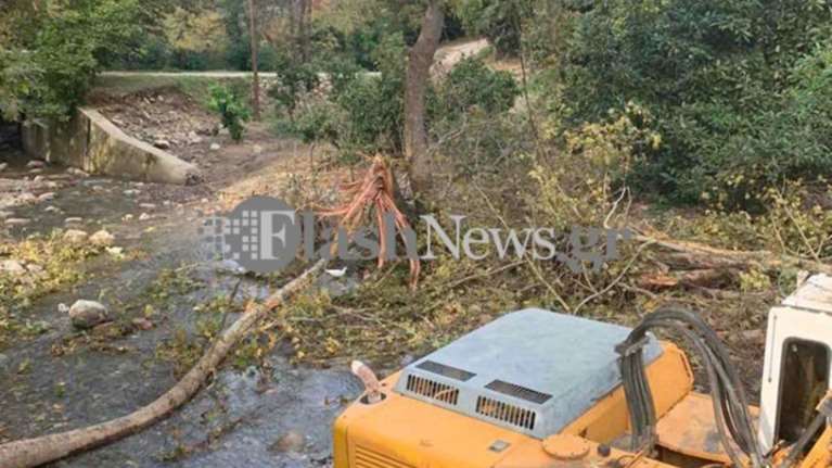 Τραγικός θάνατος: Ηλικιωμένος καταπλακώθηκε από κλαδί δέντρου
