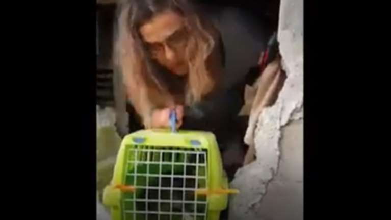 Απεγκλώβισαν τις γατούλες από την κατάληψη Βανκούβερ