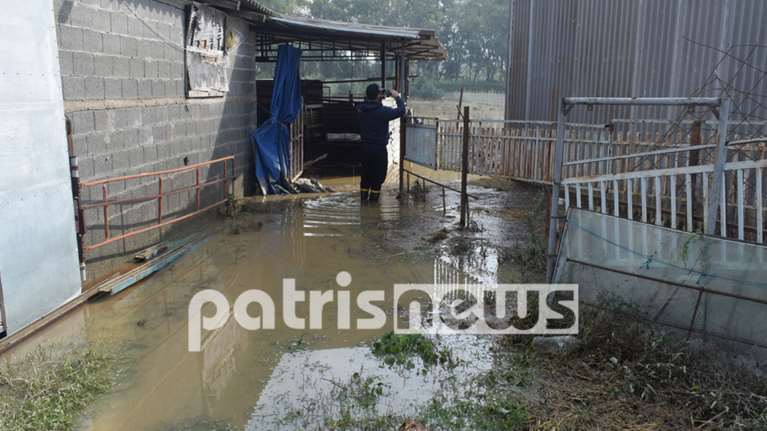 Καταστροφές από την κακοκαιρία - Ζημιές σε Ηλεία, Θάσο, Καβάλα