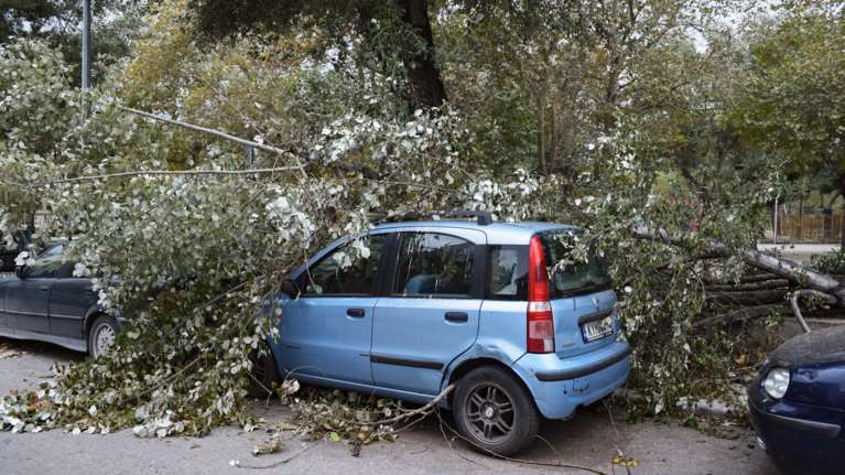 Επεσαν δέντρα και καταπλάκωσαν αυτοκίνητα στη Θεσσαλονίκη  [Εικόνες]