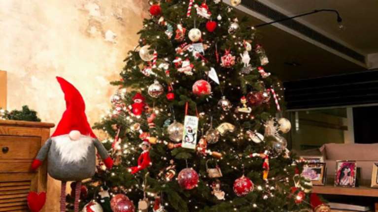 Τα δέντρα των διάσημων: Πώς στόλισαν Νομικού, Μαγγίρα και Χρουσαλά