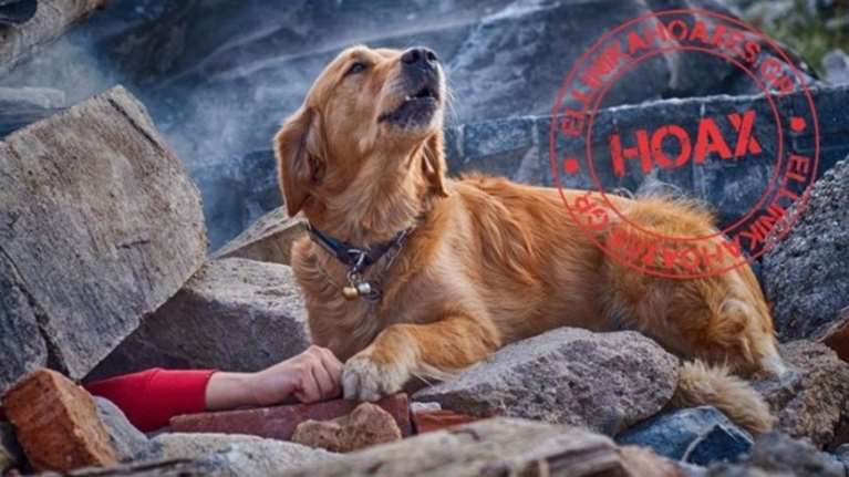 Eλληνικά hoaxes: Fake news ο «Χάτσικο στην Αλβανία»