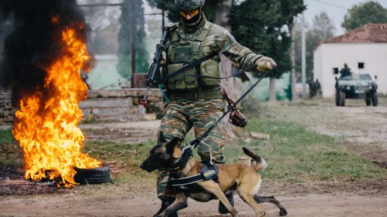 Τετράποδοι «κομάντος» στον Ελληνικό  Στρατό μαζί με αμερικανούς στρατιώτες