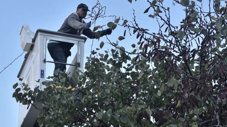 Ο δήμος Αθήνας στολίζει την πόλη για τα Χριστούγεννα [φωτό]