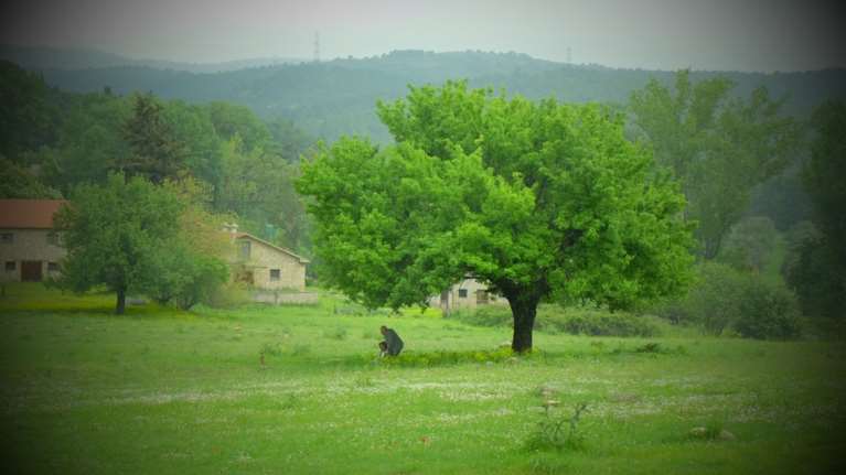 Ο κρυφός κήπος της φωτογράφου Ένης Κούκουλα