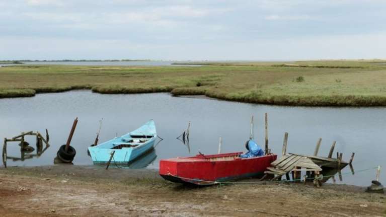 Έβρος: Πτώματα δύο νεαρών γυναικών εντοπίστηκαν σε χωράφι
