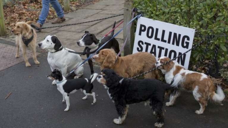Το #DogsAtPollingStations ένωσε τους Βρετανούς 3 χρόνια μετά