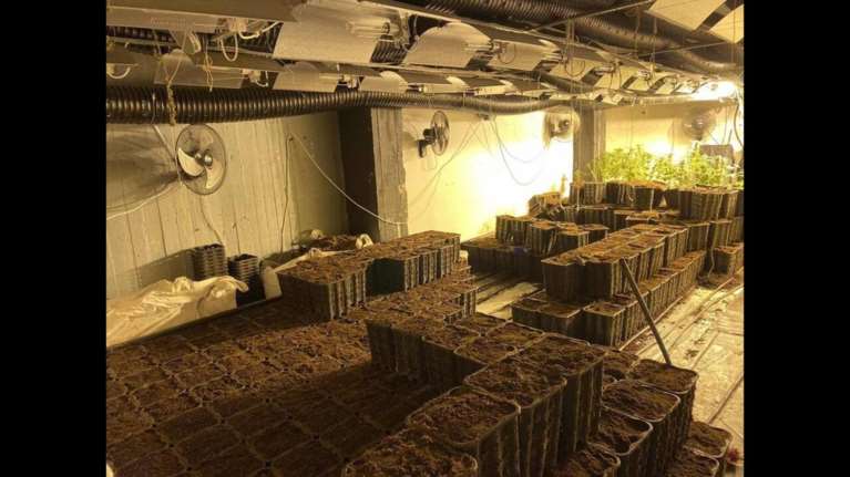 Αιγάλεω: Εργαστήριο κάνναβης πίσω από πόρτα ντουλάπας δωματίου (βίντεο)