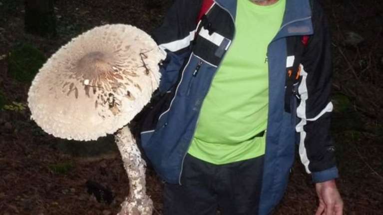 Επαθαν πλάκα στην Ξάνθη με μανιτάρι γίγας - Μισό μέτρο [εικόνες]