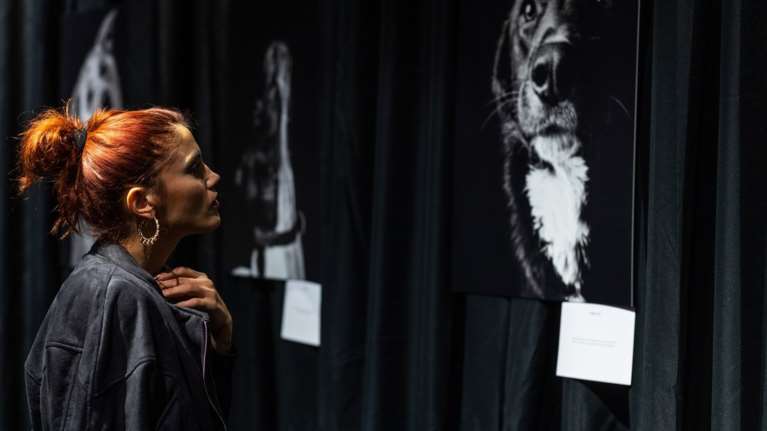 “Eyes behind bars”: Έκθεση του Νίκου Ζήκου &amp; του Save a Greek Stray