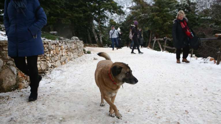 Κάτω από τους -10 βαθμούς έπεσαν οι θερμοκρασίες σε περιοχές της Β. Ελλάδας