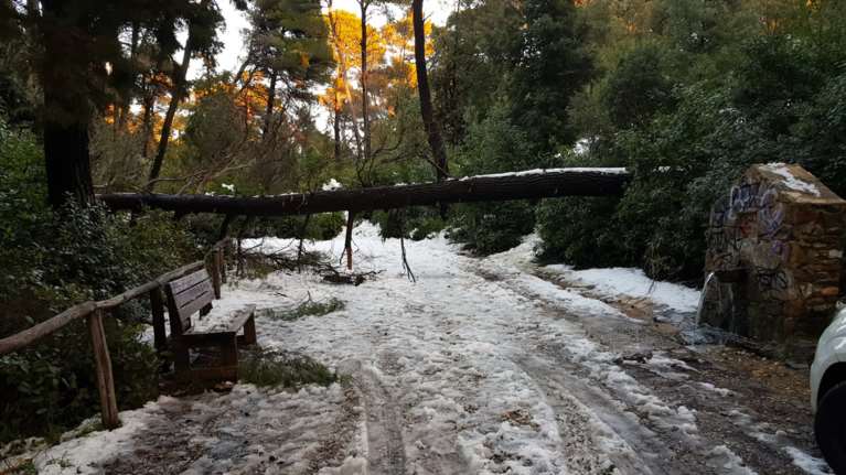 Η Ζηνοβία σε αριθμούς: Ελάχιστες θερμοκρασίες, χιονοκάλυψη, ριπές ανέμου