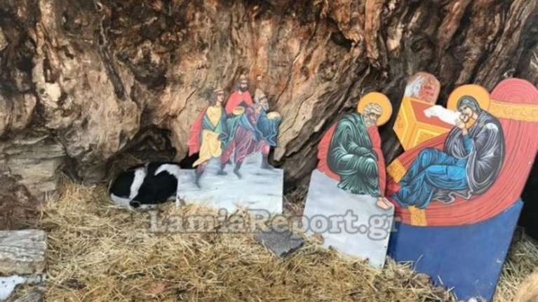 Αδέσποτος σκυλάκος βρήκε απάγκιο στη φάτνη της χιονισμένης Μακρυνίτσας