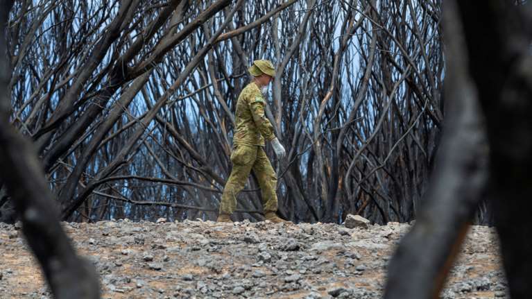 Απίστευτο: Οι φωτιές στην Αυστραλία έκαψαν έκταση όσο η Ιρλανδία