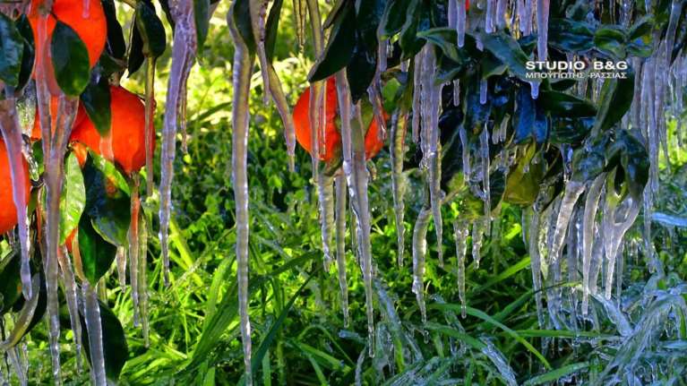 Πάγωσαν τα πάντα στην Αργολίδα - εντυπωσιακές εικόνες