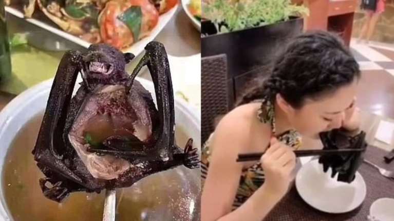 Κοροναϊός: Fake news το video με την Κινέζα που τρώει νυχτερίδα