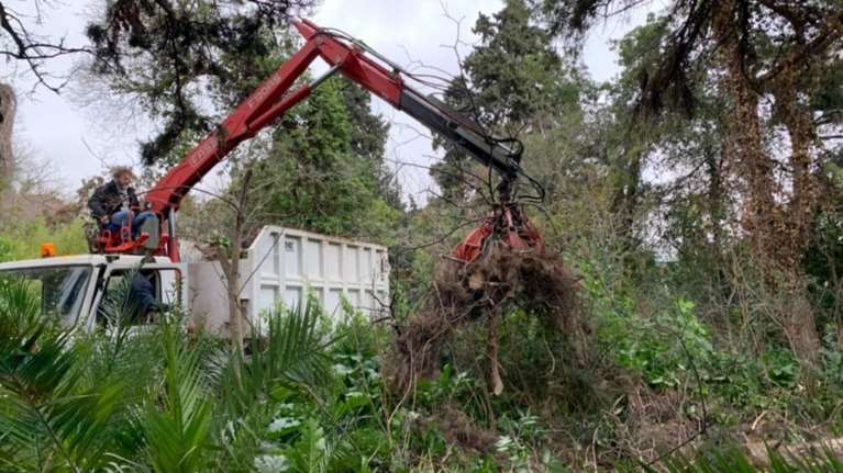 Δήμος Αθηναίων: Ξεκίνησε η συντήρηση και αναβάθμιση του Βοτανικού Κήπου