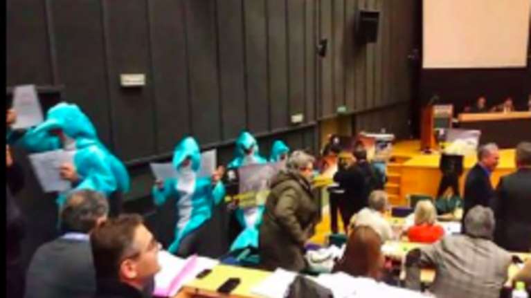 Ακτιβιστές μπήκαν στο Περιφερειακό Συμβούλιο Αττικής ντυμένοι... δελφίνια