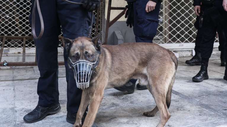 Περιπολίες με σκύλους στα Εξάρχεια- Το νέο στίλ αστυνόμευσης της περιοχής