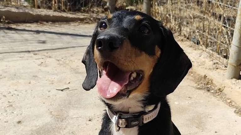 Η Pepsi  που της αξίζουν όλα και βρέθηκε ξαφνικά με το τίποτα... Δείτε το βίντεο