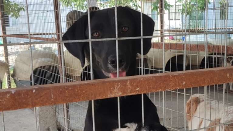 Η Ταρούσα κατάφερνε πάντα να βρει τη χαρά κόντρα σε όλη τη δυστυχία που την περιέβαλλε