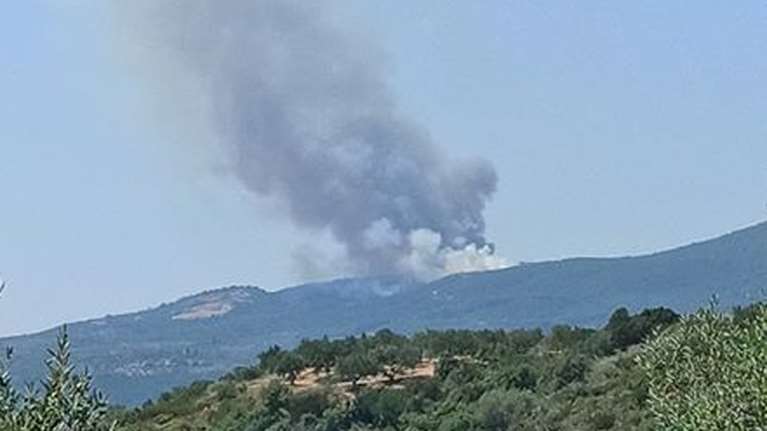 Μεγάλη φωτιά στο Πεταλίδι: Εκκενώνεται χωριό - Ισχυρές δυνάμεις της Πυροσβεστικής στο σημείο [Εικόνες-Βίντεο]