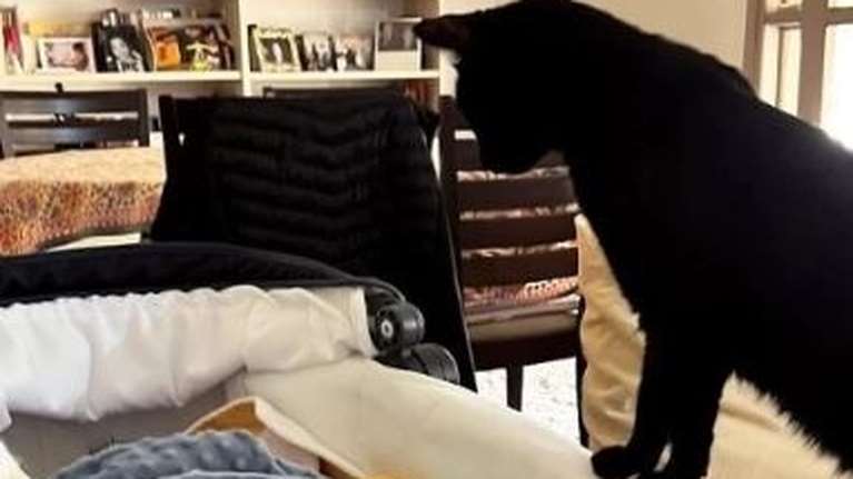 Η Αντιγόνη Κουλουκάκου φωτογραφίζει τον γιο της με το...  "αδερφάκι" του, τον Μόμπι