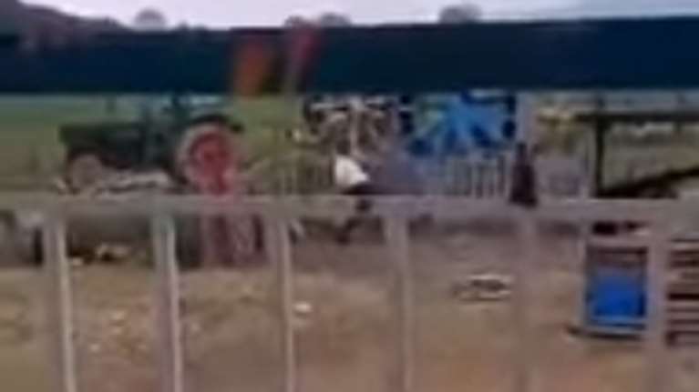 Θεσσαλονίκη: Συνελήφθη ο άντρας που κακοποίησε τον σκύλο του - &quot;Πρέπει να μάθει να μην πειράζει τις κότες&quot; [βίντεο]