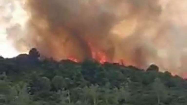 Συναγερμός στην Πυροσβεστική: Μεγάλη φωτιά στη Μεσσηνία [Εικόνες-Βίντεο]