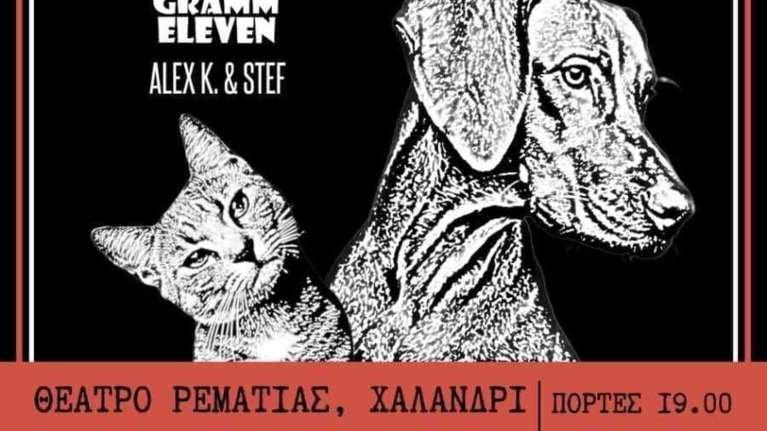 Strays on Stage, συναυλία για να βοηθήσουμε τα αδέσποτα στο ρέμα Χαλανδρίου