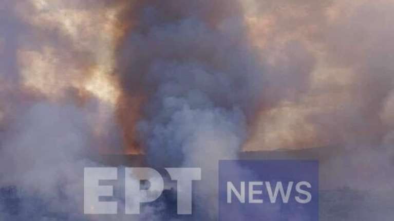 Συναγερμός στις Σέρρες: Ξέσπασε πυρκαγιά στη Νιγρίτα – Σε δύσβατο σημείο, δεν απειλεί κατοικίες