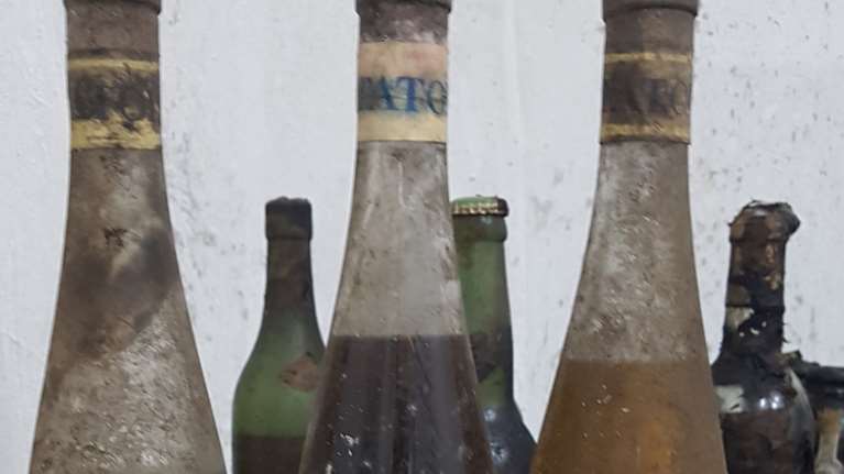 Αναβιώνει το brandname &quot;Τατόι&quot; με προϊόντα από το 1800 - Ετικέτα του βασιλικού κτήματος σε κρασί, βούτυρο [εικόνες]