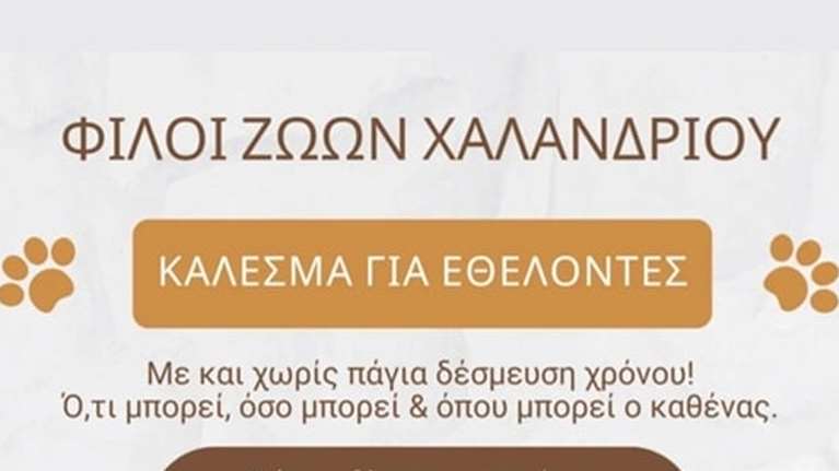 Κάλεσμα για εθελοντές από τους Φίλους Ζώων Χαλανδρίου: Ο,τι μπορεί, όσο και όπου μπορεί ο καθένας