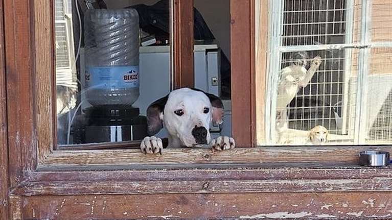 Σίντυ: Συγγνώμη, κάνετε λίγο ησυχία... Κάποιοι προσπαθούμε να κοιμηθούμε εδώ μέσα