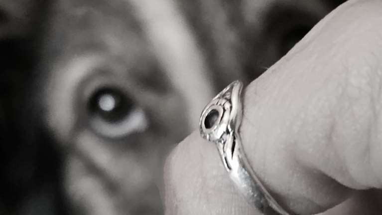 Αφηνε τον σκύλο του χωρίς νερό  - Πάνω από 2.000 ευρώ το πρόστιμο