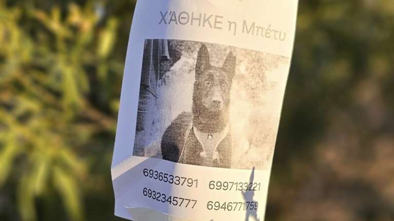 Συνεχίζουμε να ψάχνουμε την Μπέτυ - Εάν τη δείτε μην της μιλήσετε - Καλέστε στα 6936533791 - 6997133221