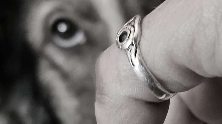 Γιατί δεν πρέπει να απλώνουμε το χέρι μας στη μούρη του σκύλου &quot;για να μας μυρίσει&quot; - Ο μύθος που καταρρέει