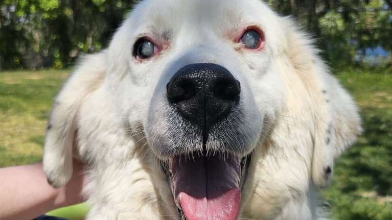 Το πιο ωραίο και το πιο αγνό χαμόγελο το χει ο Μπάρνεϊ που δεν βλέπει καθόλου αλλά είναι σαν να βλέπει και νιώθει τα πάντα