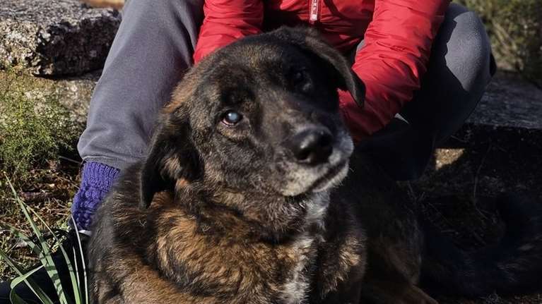 Αν είναι να διαλέξουμε μια ευχή για φέτος είναι να δούμε τον Αντώνη σε ένα σπίτι -  Χάνει το φως του αλλά σε κοιτάει λες και βλέπει