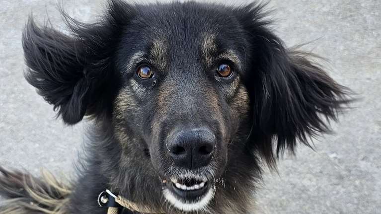 Κλάρα στα ισπανικά σημαίνει φωτεινή, λαμπερή