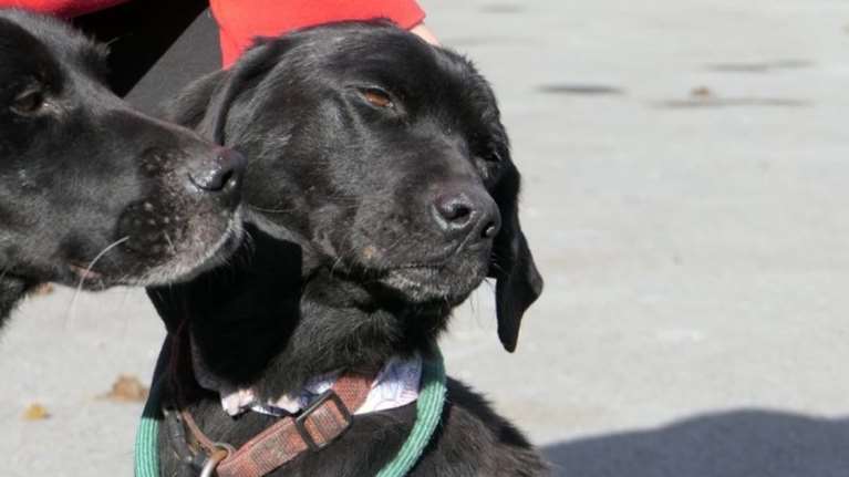 Μόντο: Τι έχεις; - Βέλβετ: Τίποτα... Μουτράκια, ναζάκια ή &quot;σύννεφα&quot;;