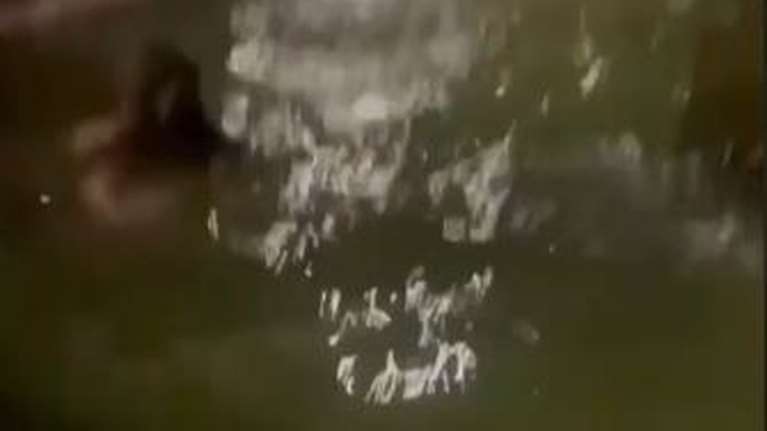 Φλωρεντία: Τουρίστρια βουτάει topless σε συντριβάνι για βραδινό μπάνιο και γίνεται viral