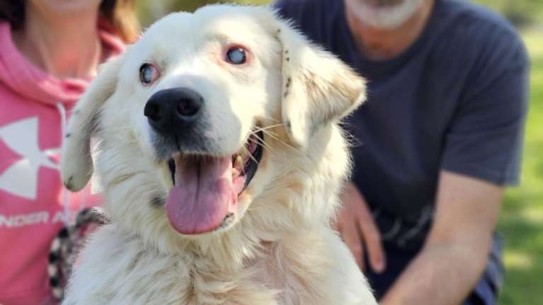 Ο Μπάρνεϊ χαμογελάει ολόκληρος - Ακόμα και τα μάτια του και ας είναι τυφλός - Τι κι αν δεν βλέπει