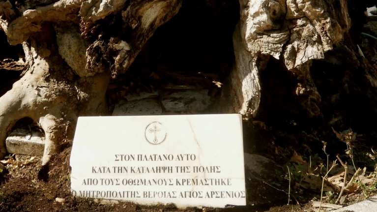 Τα δέντρα &quot;μάρτυρες&quot; του 1821 που ζουν μέχρι σήμερα: Οι πλάτανοι και οι οξιές των αγωνιστών της Επανάστασης [εικόνες]