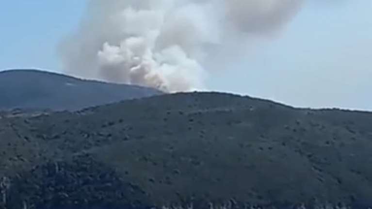 Φωτιά στη Χρυσοκελλαριά Μεσσηνίας: 35 πυροσβέστες με 12 οχήματα στη μάχη για την κατάσβεση της πυρκαγιάς